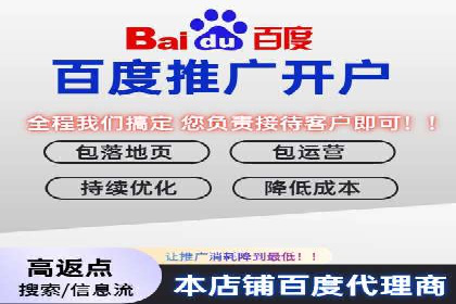 百度推广优化策略：成功案例解析